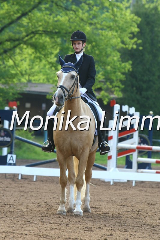 104M4737_Magic Yellow_Dressur E.JPG